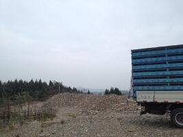 进入场地,等待开笼,,,